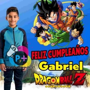 Pendon de Cumpleaños Dragon Ball z